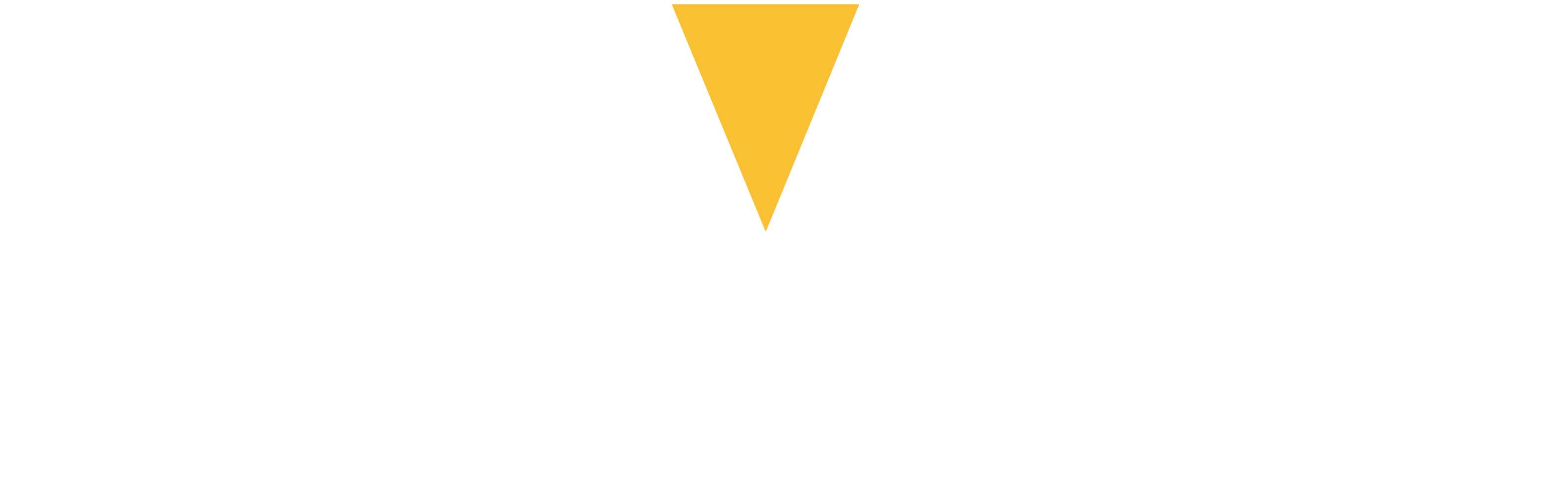 Logo Light